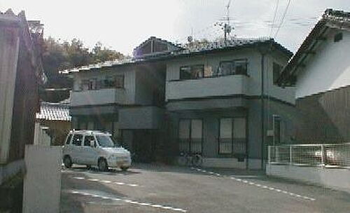 チェリーブロッサム