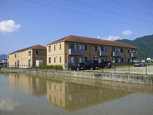 オレンジアイビー・柏原