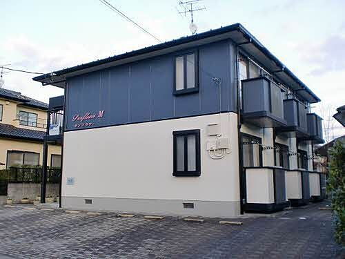 サンフラワーＭ