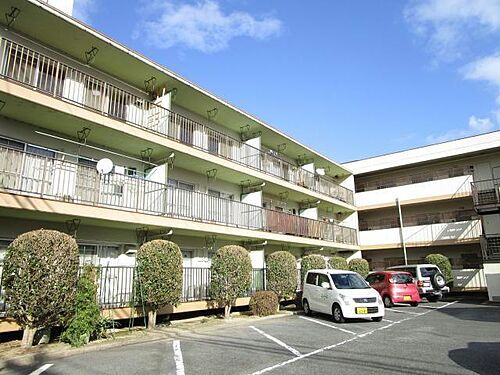 滋賀県大津市本丸町 3階建 築46年3ヶ月