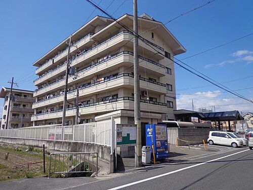 大阪府泉大津市池浦町３丁目 賃貸マンション