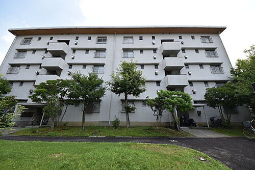 大阪府河内長野市木戸１丁目 賃貸マンション