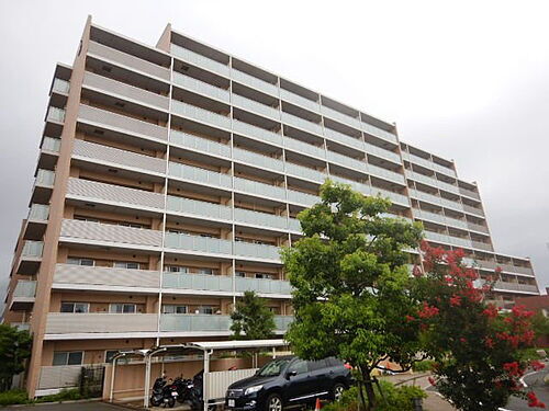 兵庫県神戸市東灘区深江南町１丁目 築14年7ヶ月 10階建