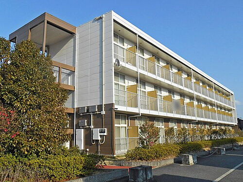 大阪府和泉市葛の葉町３丁目 賃貸マンション