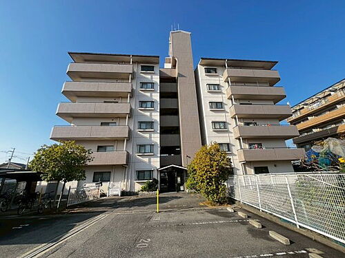 キャニオン・アングル