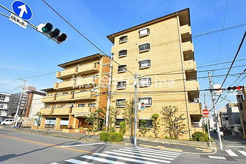 大阪府東大阪市西堤本通東３丁目 築39年10ヶ月 6階建