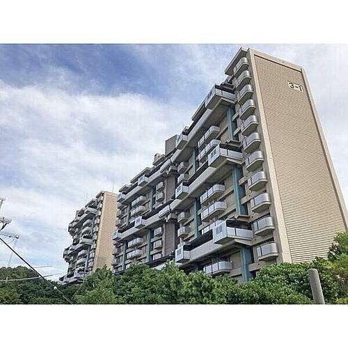 大阪府堺市南区鴨谷台３丁 14階建 築45年1ヶ月