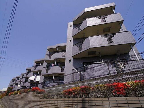 東京都練馬区大泉学園町２丁目 3階建 築30年11ヶ月