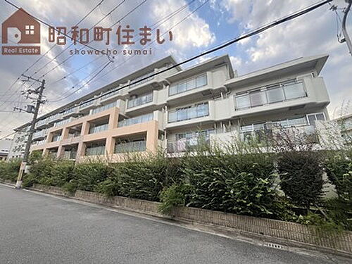 大阪府大阪市阿倍野区帝塚山１丁目 築48年4ヶ月 5階建