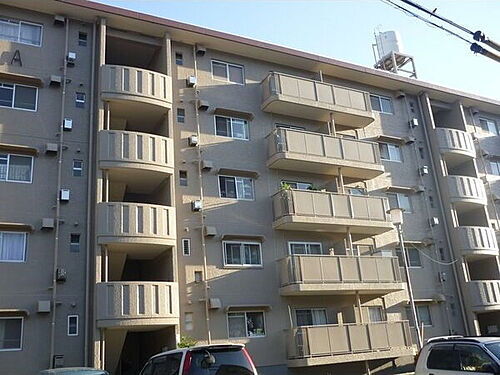 岐阜県岐阜市尼ケ崎町１丁目 賃貸マンション