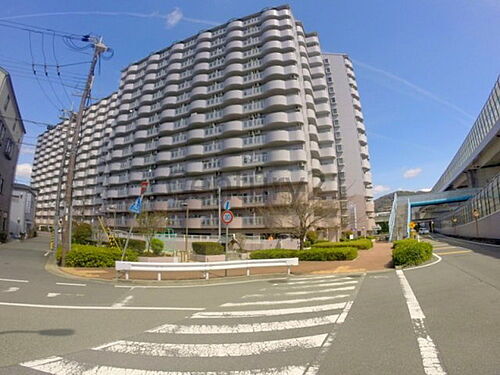 シャンテ川西３号棟 15階建