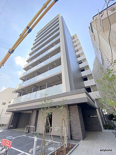 大阪府大阪市北区堂山町 11階建 築1年3ヶ月
