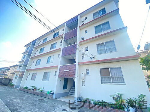 大阪府堺市西区上野芝町６丁 築53年8ヶ月 4階建