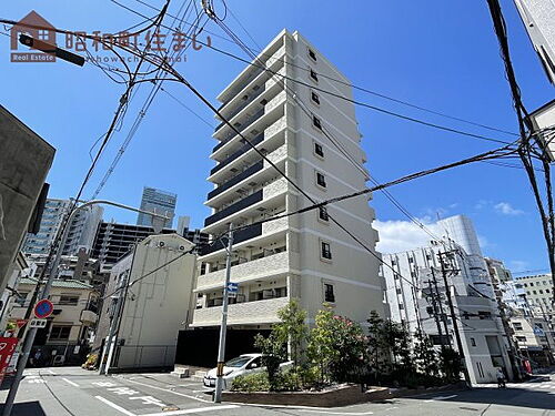 大阪府大阪市天王寺区堀越町 築7年9ヶ月 11階建