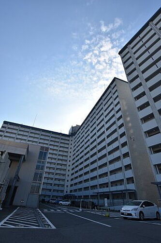 大阪府堺市南区若松台１丁 14階建 築52年6ヶ月