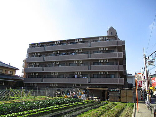 大阪府堺市東区日置荘原寺町 賃貸マンション