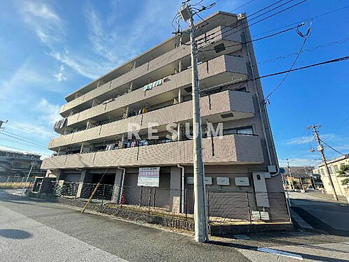 千葉県千葉市中央区南町３丁目 5階建 築28年4ヶ月