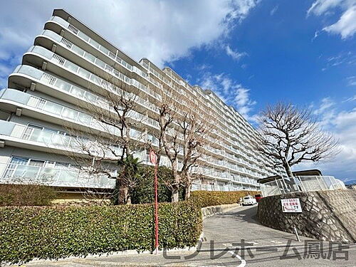 大阪府堺市中区辻之 12階建 築47年