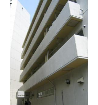 シテイハイツ若山 中の島駅 1LDK 賃貸(賃貸マンション・アパート)