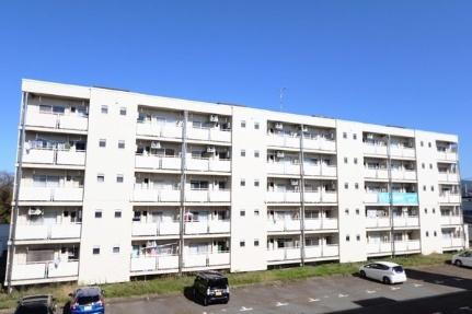 ビレッジハウス清水２号棟 5階建