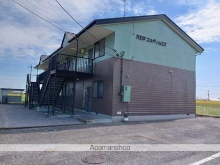 ＮＥＷエルディムＥＹ