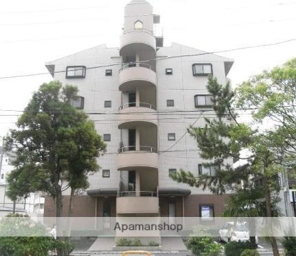 ベリング・アイ