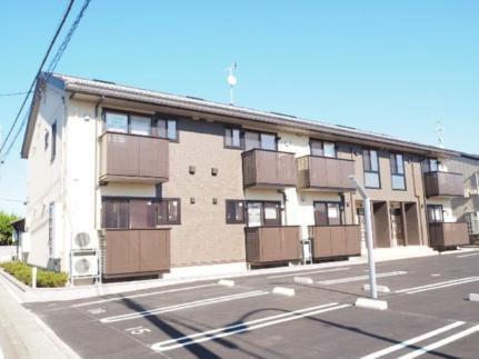 セジュールハナミズキ