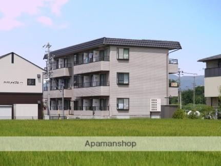 ビューホワイトフォックス 3階建
