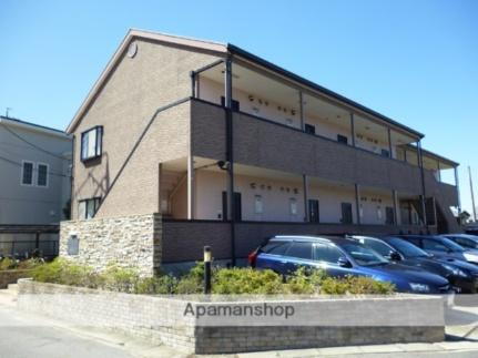 ＮＯＲＴＨＥＮＬＩＧＨＴＳ藤ヶ丘．