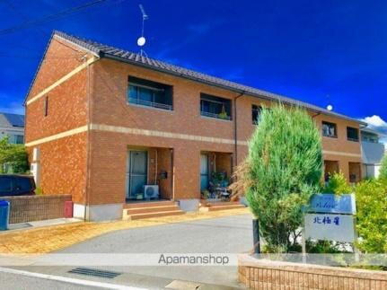 Ｐｏｌａｒｉｓ