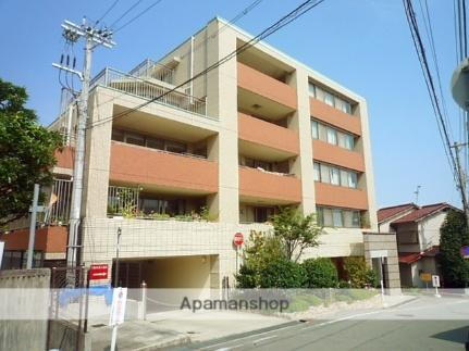 兵庫県西宮市獅子ケ口町 5階建
