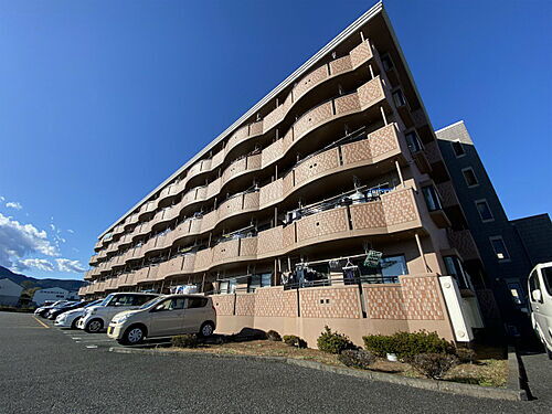 静岡県富士市松岡 5階建 築24年9ヶ月