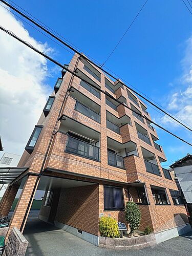 大阪府堺市東区丈六 5階建