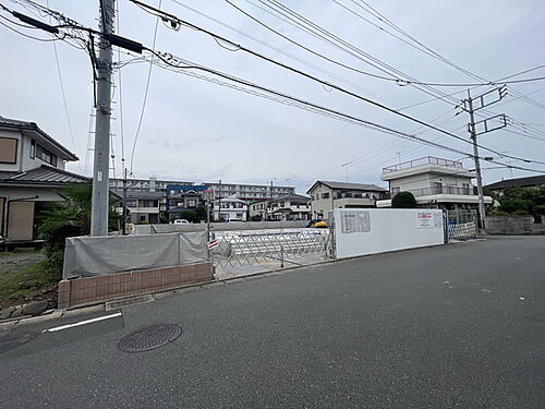 カメリヤウッド