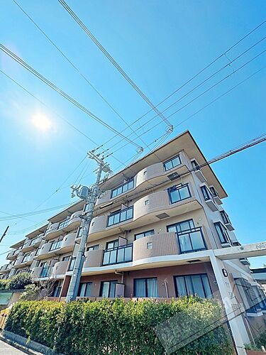 大阪府泉南市樽井４丁目 賃貸マンション