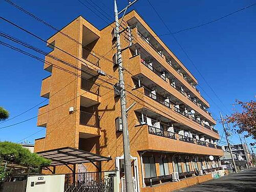 東京都八王子市松木 5階建