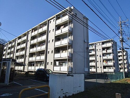 神奈川県厚木市三田南１丁目 5階建 築54年3ヶ月