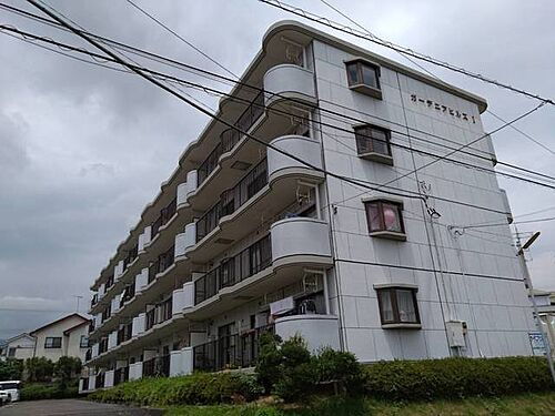 神奈川県伊勢原市伊勢原３丁目 4階建