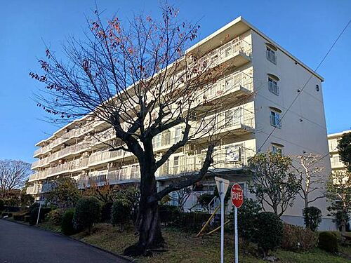 神奈川県海老名市柏ケ谷４丁目 5階建 築44年3ヶ月