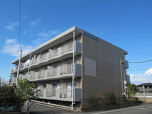 静岡県駿東郡清水町伏見 3階建 築29年2ヶ月