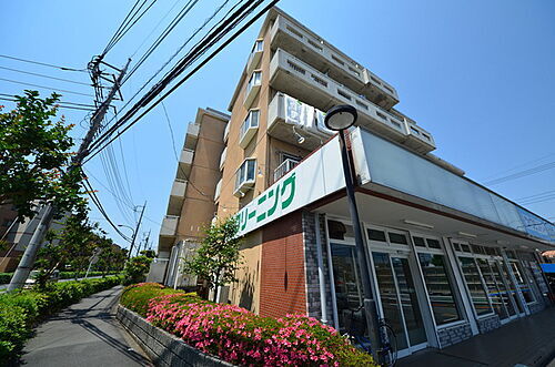 東京都八王子市堀之内３丁目 5階建
