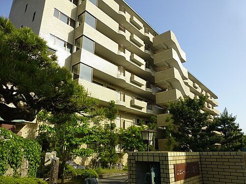 京都府京都市右京区常盤下田町 7階建 築41年5ヶ月