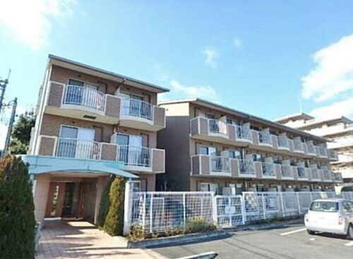 Ｓｕｎ　Ａｎｅｌａ