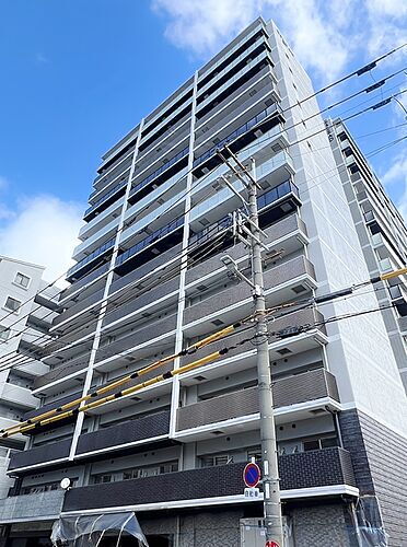 大阪府大阪市東淀川区東中島２丁目 15階建 築1年未満