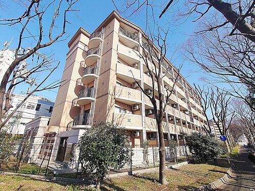 大阪府大阪市東淀川区柴島１丁目 6階建 築8年5ヶ月