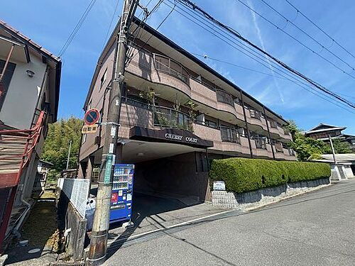 チェリーコート