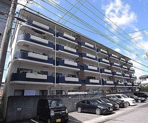 京都府京都市西京区牛ケ瀬奥ノ防町 築41年8ヶ月 5階建