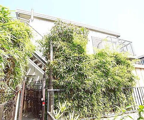 京都府京都市伏見区桃山町立売 築45年9ヶ月 2階建