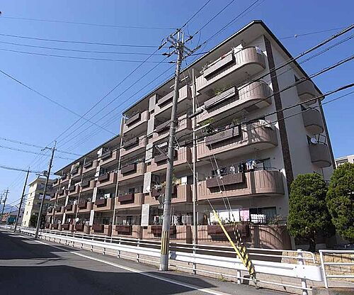 京都府京都市西京区桂北滝川町 5階建 築41年10ヶ月