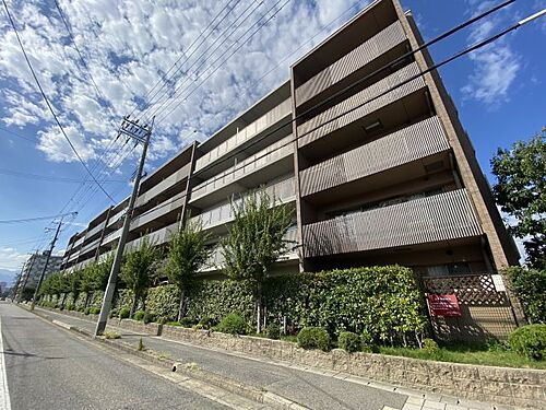 兵庫県西宮市甲子園三番町 賃貸マンション